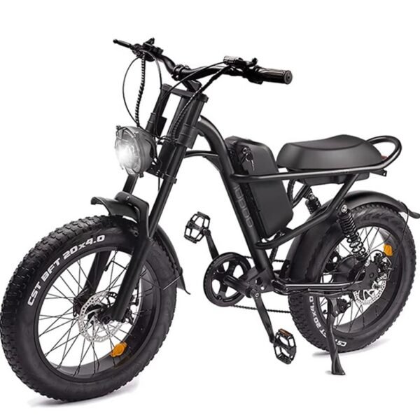 Yuirshion Vélo électrique, 20" x 4" Pouces Gros Pneu Vélo électrique pour Adultes, Batterie Massive Amovible 48V 15Ah E-Bike, VTT électrique 15.5 MPH, Professionnel Shimano 7 Vitesses – Image 1